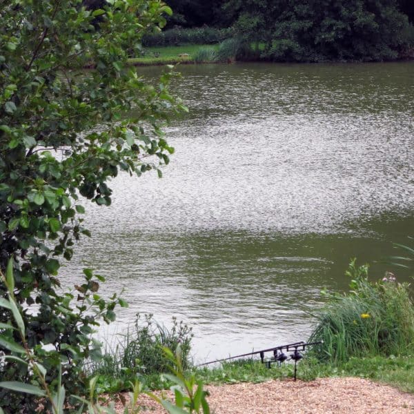 Fishery Rules River Farm Carp Fishery, Carp Fishery & Tackle Shop in