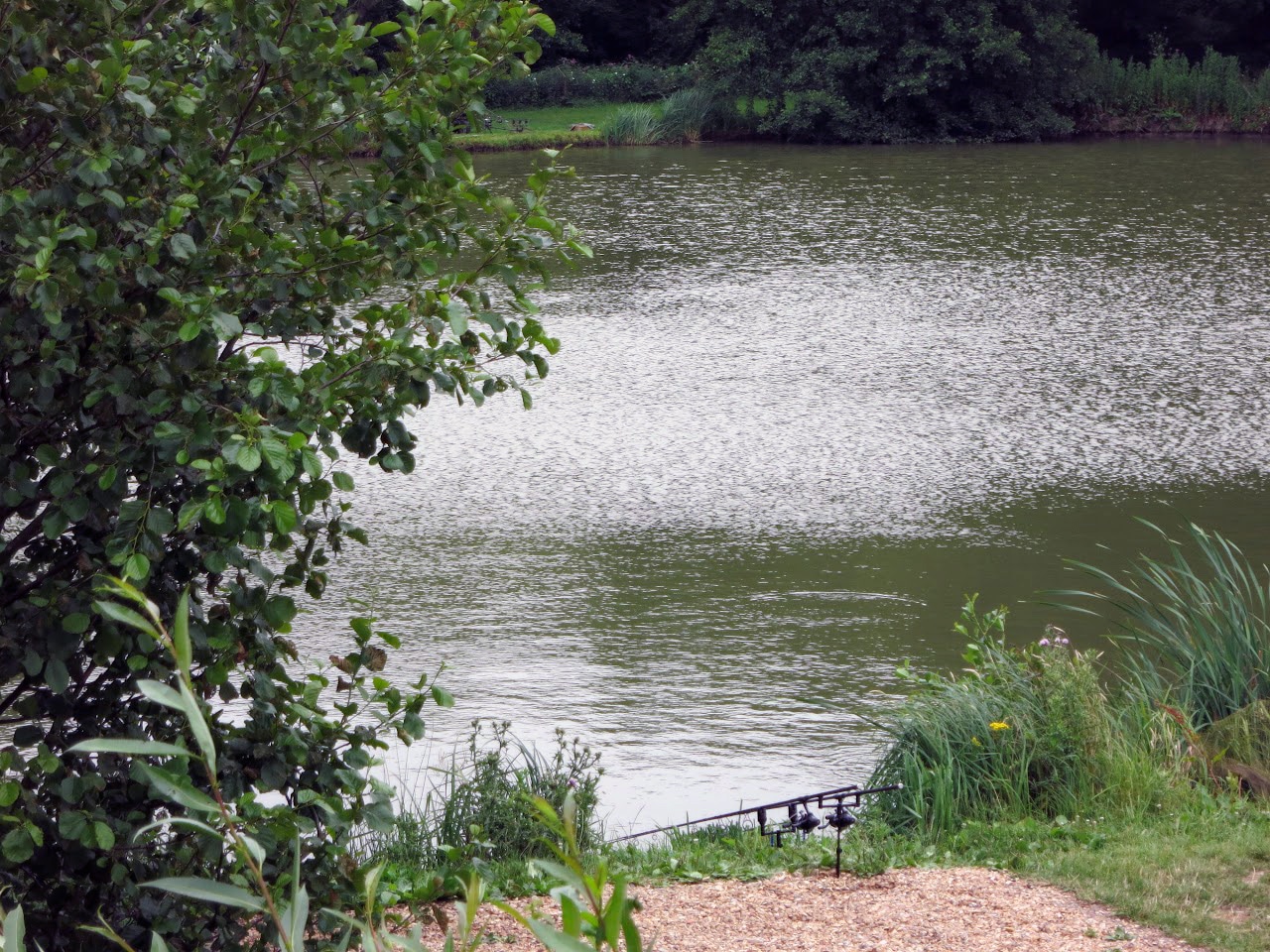 Fishery Rules River Farm Carp Fishery, Carp Fishery & Tackle Shop in